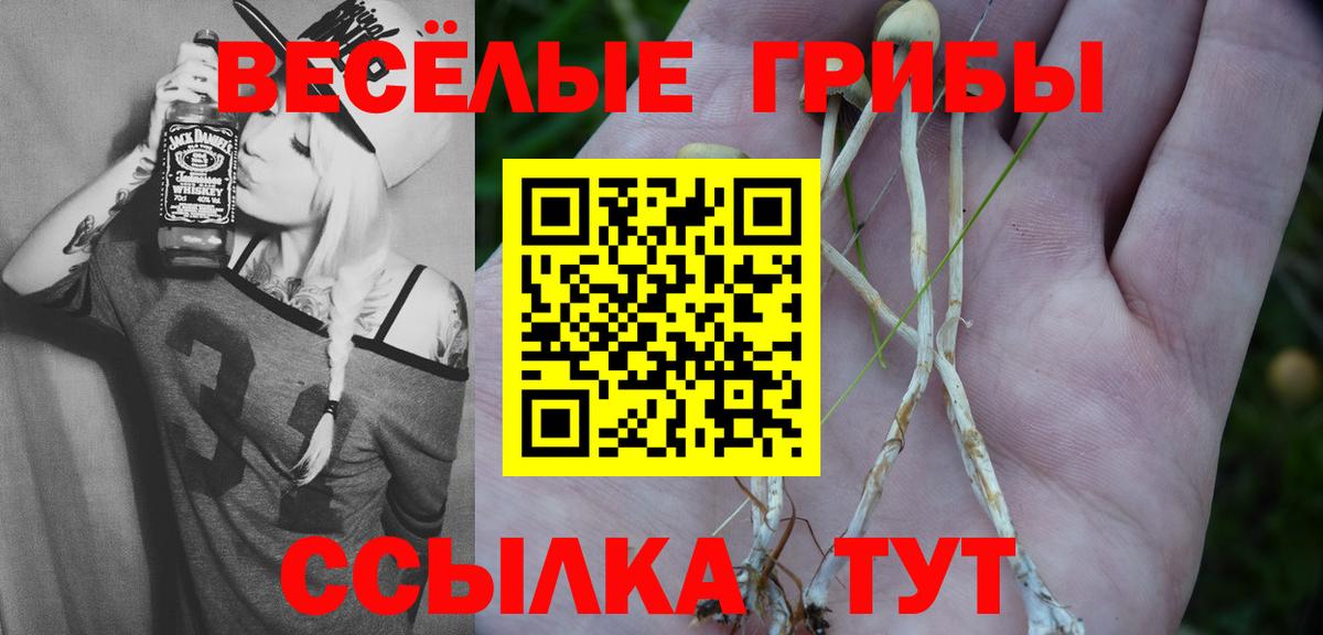 Галлюциногенные грибы Cubensis Грязи