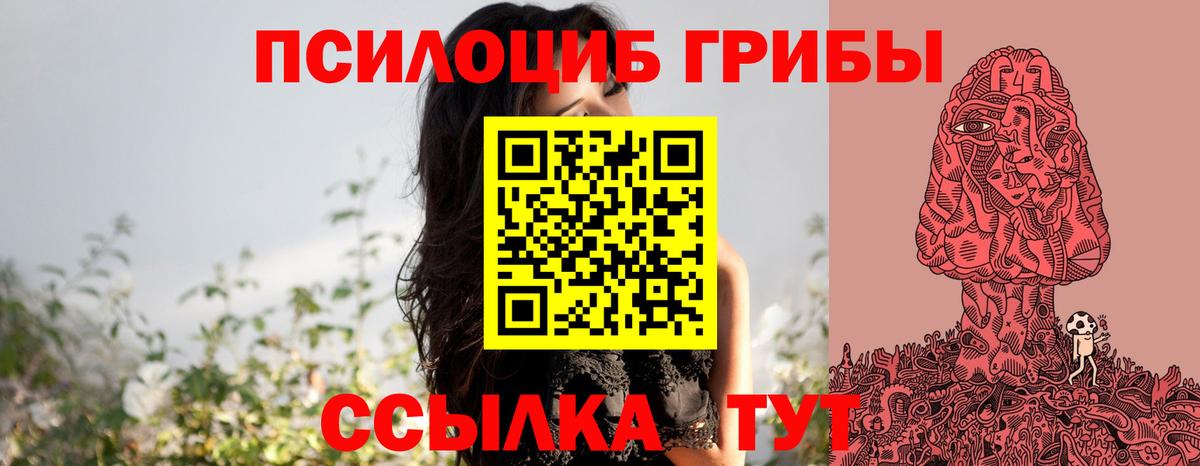 Грязи  Галлюциногенные грибы Psilocybe  Вход с VPN 